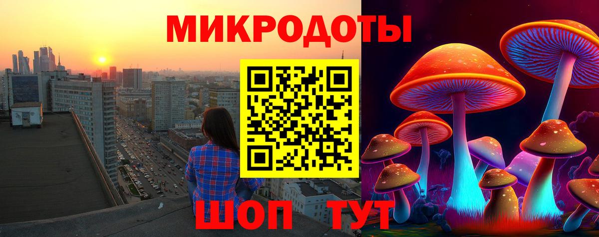 Галлюциногенные грибы прущие грибы Артёмовский
