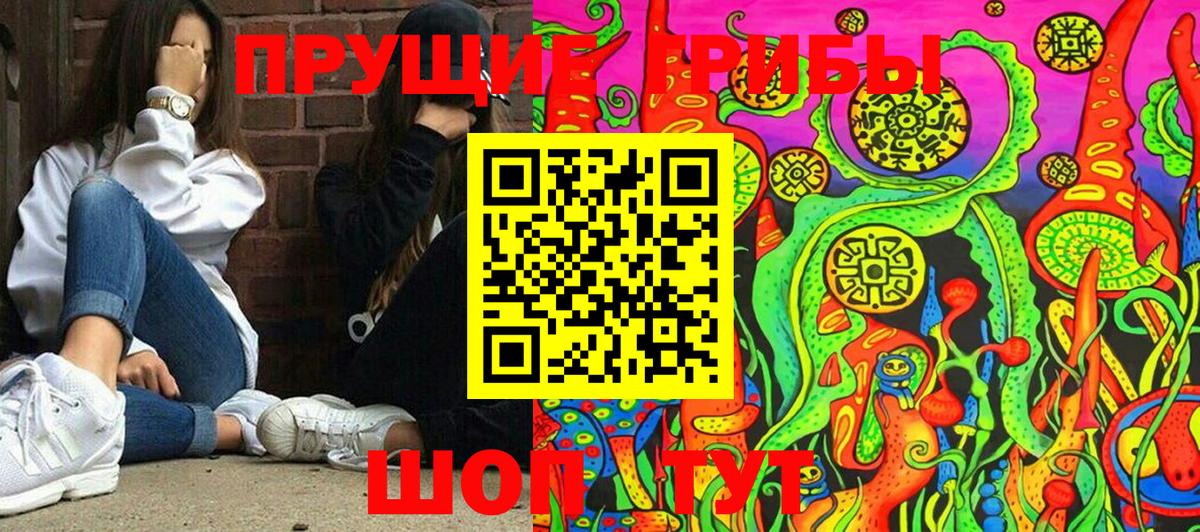 Псилоцибиновые грибы мухоморы  Вход с VPN  Артёмовский  Псилоцибиновые грибы Psilocybe 